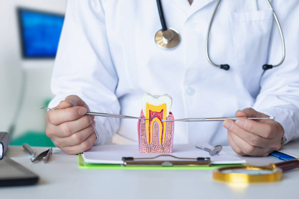 Best Cracked Tooth Emergency Dentist  in Central Point, OR